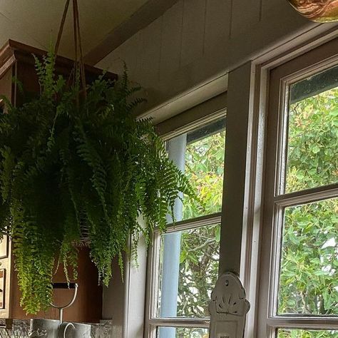 Country Style, Snake Activity, Kitchen View, Cups Of Tea, Instagram Kitchen, Happy Week, House Vintage, Kitchen Views, Country Cottage