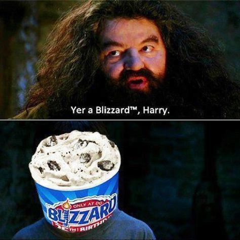 I will never look at another blizzard the same way again! Humour, Harry Potter Jokes, Harry Potter Memes, Harry Potter Quiz, Harry Potter Puns, Yer A Wizard Harry, Harry Potter Love, Mischief Managed, Harry Potter Funny