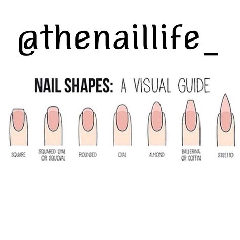 What's your shape ? Neutral Nail Extensions, Short Nail Length And Shape, Padres Nails, Nails Shape Chart, Nails Length Chart, Nail Length Chart, Nail Shapes For Chubby Fingers, January Nails Designs, Nails Designs Christmas