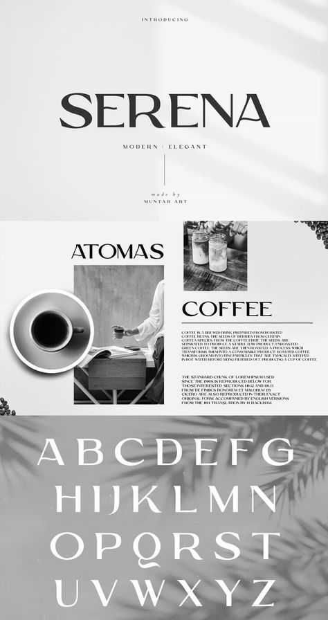 Serena Modern Sans Serif Font Luxury San Serif Font, Free Modern Serif Fonts, Logo Serif Font, Modern Serif Typeface, Sans Serif Fonts Logo, Serif Font Logo, Clean Modern Fonts, Serif Logotype, Bride Cartoon