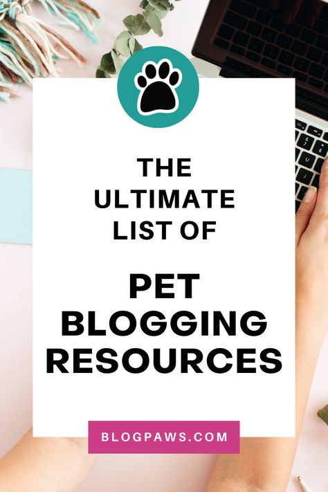 person typing on a laptop | the ultimate list of pet blogging resources Pet Influencer, Blog Business Plan, Hair Salon Business, Find Your Niche, Writing A Blog, Business Setup, Blog Business, Pet Businesses, Social Strategy