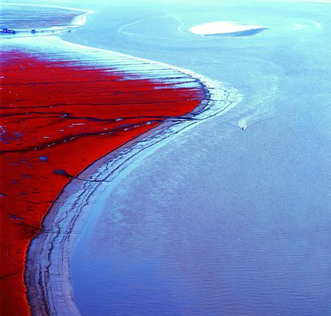 Okinawa, Danxia Landform, Surreal Places, Earth Images, Plitvice Lakes National Park, Red Beach, Plitvice Lakes, Cherry Red, Fantasy World