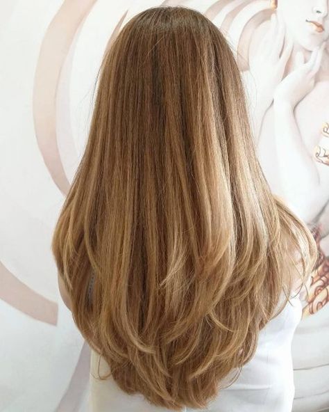 34 Cutest Long Layered Haircuts Trending Right Now Long Layers In V Shape, Layers With U Shape, Long Bottom Layers Haircuts, 90s Layers Back View, Haircuts For Long Strait Hair, Angles Long Hair, Long Straight Hair With Layers Side Part, Long Strait Hair Haircuts, Long Layered Hair Front View