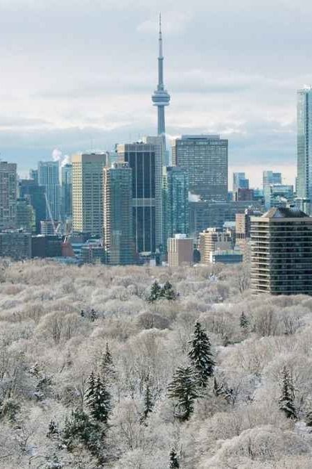 Toronto Winter Aesthetic, Toronto Canada Aesthetic Winter, Canada Astethic, Toronto Canada Winter, Toronto In Winter, Christmas In Toronto, Toronto Snow, Toronto Activities, Winter In Toronto