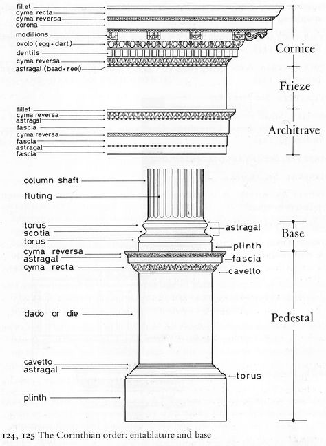 Croquis, Galleries Architecture, Counties Of England, Architectural Orders, Architecture Classic, Properties Of Matter, Neoclassical Architecture, Roman Architecture, Stone Masonry