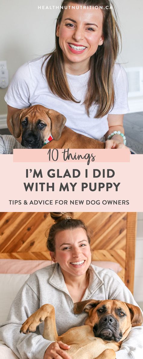 10 important things to do with a new puppy! Welcoming a puppy into your home is a lot of work, but will change your life for the best. If you’re getting a new puppy or looking to get your puppy on the right track, here are the top 10 things that I’m so glad we did in the beginning stages of pawrenthood! Things To Know Before Getting A Puppy, New Puppy Hacks, Bringing A Puppy Home, First Week With Puppy, What Do I Need For A New Puppy, Preparing For A Puppy, New Puppy Aesthetic, New Puppy Schedule, Puppy Preparation