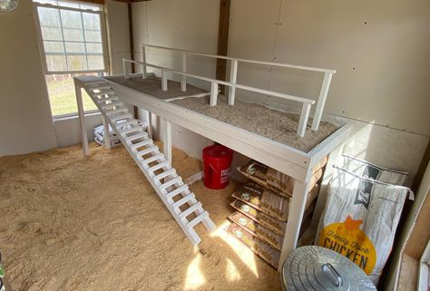 Roosting bars with sand below for easy cleaning. Chicken Roosting Bars 2x4, Roosting Bars For Chickens Diy, Brooder Roosting Bar, Roost Bars For Chickens, Sand Chicken Coop, Coop Roosting Bars, Chicken Coop Roosting Ideas, Diy Roosting Bars For Chickens, Roosting Bars For Chickens