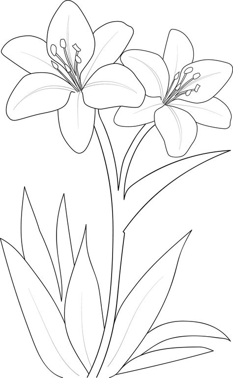 Leaf Vector Illustration, Leaves Sketch, Leaf Coloring Page, Lilies Drawing, White Lily Flower, Leaf Vector, Flower Pattern Drawing, Line Art Flowers, Botanical Line Drawing