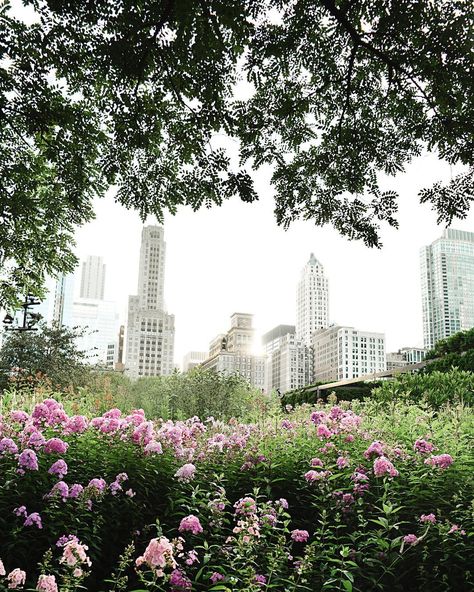 11 quiet places to meditate in Chicago Lurie Garden, Moving To Chicago, Gcse Art Sketchbook, Big Shoulders, My Kind Of Town, Visual Aids, New Classroom, Green Space, North Dakota