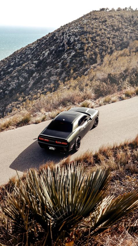 Dodge Challenger T/A 2017 Engine: 6.4L V8 Power: 361 kW / 491 hp Torque: 644 Nm / 475 lb-ft Weight: 1,925 kg / 4,240 lbs 0-100 kph: 4.4 seconds Top Speed: 295 kph / 183 mph Dodge Challenger, Muscle Cars, Nature, Wild Life, Amazing Nature, Wild Speed, Muscle Car, Dodge, Garage