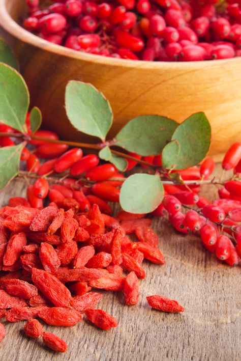 We’re going crazy for goji berries over here! Don’t let their tiny size fool you – not only are they the rulers of the superfood kingdom, they’re also incredibly versatile. Read on to find out what makes goji berries so special. Gogi Berries, Dried Goji Berries, Mask Sticker, Tea Varieties, Pretty Life, Goji Berry, Grown Women, Goji Berries, Tea Shop