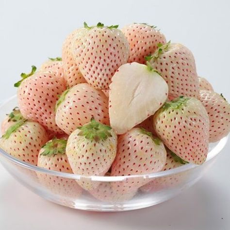 Fruit Garden, Strawberry Seeds, Strawberry Seed, White Strawberry, Strawberry Garden, Sugar Scrub Diy, Fruit Seeds, Beautiful Fruits, Exotic Fruit