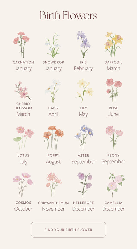 You probably know your zodiac sign…but do you know your birth flower? May September October Flower Tattoo, September And June Flower Tattoo, Flowers Based On Birth Month, November And August Flower Tattoo, November And September Flower Tattoo, September And November Flower Tattoo, Brith Flower, Month Flower Tattoos, Trace Drawing