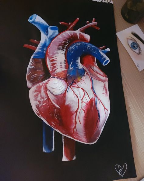 Heart Art Reference, Realistic Heart Painting, Heart Oil Pastel, Heart Surrealism, Human Heart Painting, Heart Oil Painting, Bible Scrapbook, Human Heart Art, Heart Art Painting