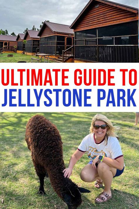 Jellystone Park Packing List, Jellystone Park Yogi Bear, Jellystone Park, Away From The City, Texas Parks, Yogi Bear, North Texas, Weekend Getaway, Travel Itinerary