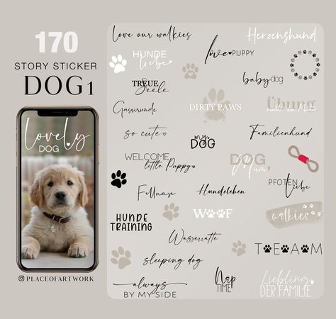 Instagram Story Sticker, Story Sticker, Bone Dog, Dog Basket, Short Message, Dogs Love, Digital Stickers, Instagram Dogs, Dog Stickers