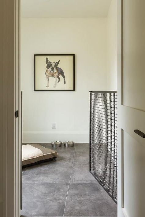 25+ Stylish Dog Door Ideas For The Discerning Pet Owner - Hey, Djangles. Dog Friendly Mudrooms, Dog Door Laundry Room, Dog Door In Metal Door, Indoor Dog Space Ideas, Dutch Door Interior Dogs, Metal Dog Gates Indoor, Dog Room Layout, Metal Dog Door, Dream Dog Room