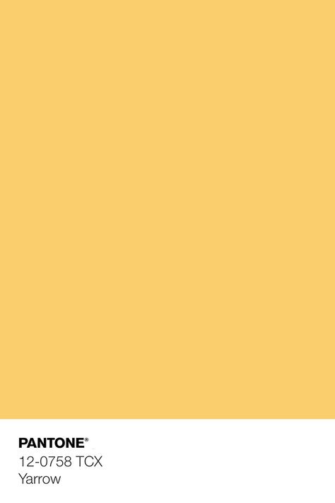 Sunny Yellow Color, Yellow Beige Color Palette, Neutral Yellow Color Palette, Beige Yellow Aesthetic, Shades Of Yellow Color Palette, Pantone Yellow Shades, Yellow Color Aesthetic, Yellow Color Swatch, Yellow Pallete