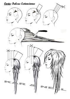 Diagram of long shag with disconnected layers Emos Haj, Hair Wolfcut, Wolfcut Long, Haircut For Face Shape, Haircut Wavy, Wolf Haircut, Long Shag, Hair Illustration, Haircut Long