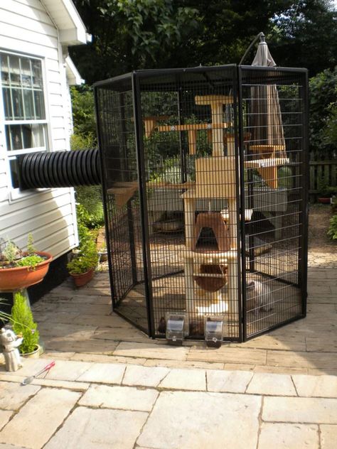 8 Catrageous Ways Your Cat Can Enjoy The Outdoors Safely Diy Jouet Pour Chat, Katt Hus, Katt Diy, Katt Grejer, Chat Diy, Cat Patio, Outdoor Cat Enclosure, Cat Run, Outdoor Cat House