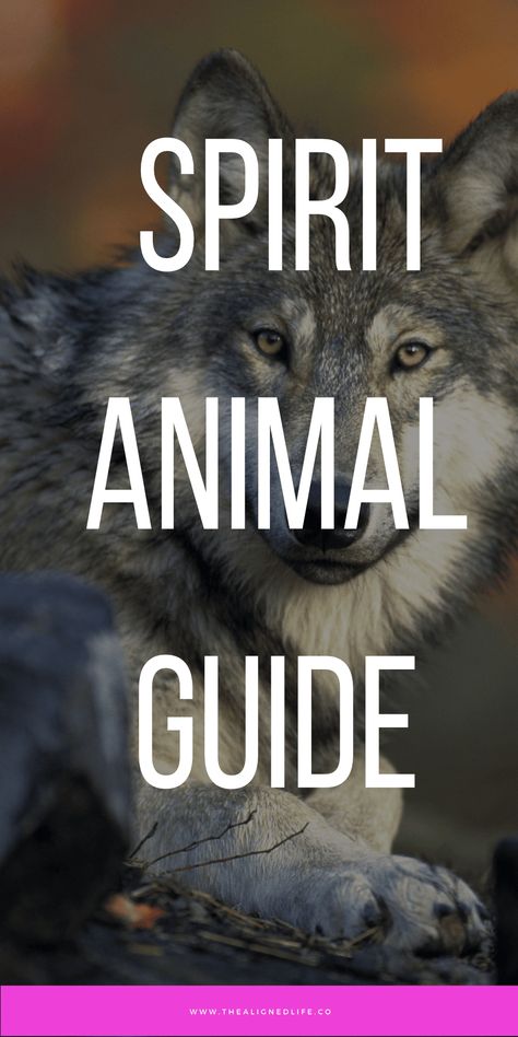 Dreaming of a certain animal? Or maybe you're simply noticing an animal in the world around you. Find out more about what spirit animal guides are & find out their meaning right here! | thealignedlife.co | dream interpretation, dream symbolism, dream animals, psychology, spirituality Animal Symbolism And Meanings, Symbolic Animals, Wisdom Meaning, Animal Tattoo Meanings, Spirit Animal Tattoo, Dream Symbolism, Find My Spirit Animal, Tarot Card Artwork, Wise Animals