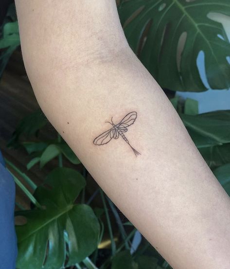 Small mayfly tattoo Piercing Ideas, Kuta, May Fly Tattoo, Mayfly Tattoo, Kite Tattoo, Fly Tattoo, Flying Tattoo, Mayfly, Tattoo Cover-up