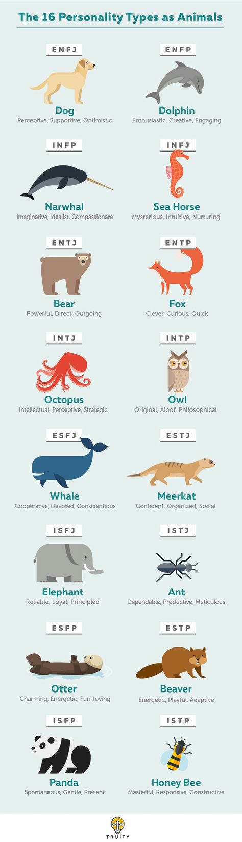 Personality Types Chart, Personalidad Enfp, Istj Personality, The 16 Personality Types, Isfj Personality, Enfp Personality, Describe Your Personality, Intp Personality, Infj Personality Type