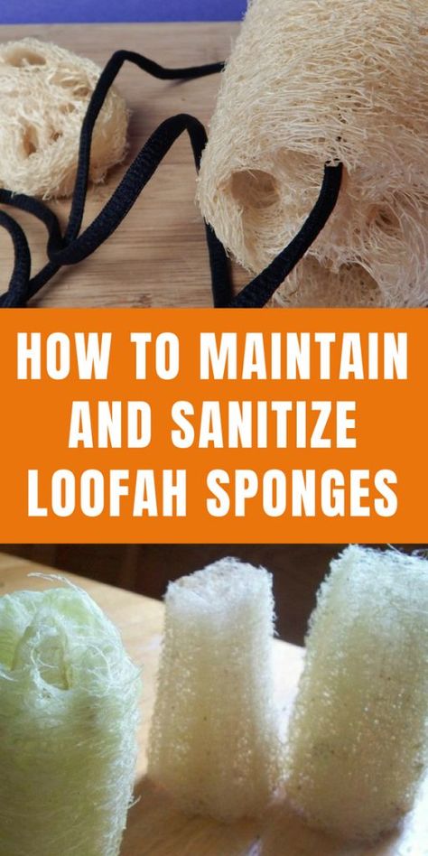 Homemade Soap Recipes, Savon Diy, Loofah Sponge, Loofah Soap, Garden Box, Room Garden, Garden Plans, Homemade Bath Products, Diy Body