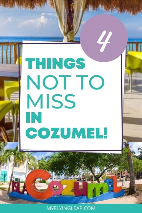 Cozumel is a beautiful island in Mexico with white sand beaches, amazing food, and parks. Find all the best things to do in Cozumel with this guide! Whether you're visiting Cozumel on a cruise or just seeing going on your own, here are the top things to see and do. What to do | Where to stay | Where to eat #cozumel #mexico #cozumelmexico #cozumelisland #visitcozumel #riviermaya #cozumeltourism #cozumelcruise Mexico, Playa Del Carmen, Cozumel Mexico Cruise, Mexico Excursions, Things To Do In Cozumel, Cozumel Excursions, Cozumel Beach, Cozumel Cruise, Cozumel Island