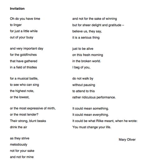 Fulfillment Quotes, Mary Oliver Quotes, Mary Oliver Poems, Mary Oliver, Poetry Words, Walking By, Pretty Words, Thought Provoking, Beautiful Words