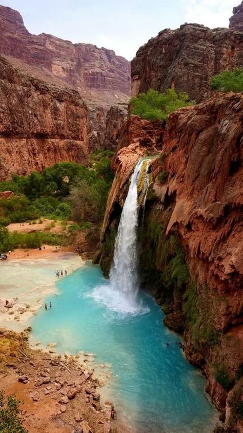 Arizona Havasu Falls, Arizona Road Trip, Matka Natura, Air Terjun, Arizona Usa, The Grand Canyon, Beautiful Waterfalls, Alam Semula Jadi, Beautiful Places To Travel