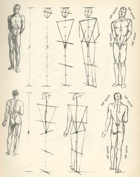 un repaso a los cánones no está mal de vez en cuando Willy Pogany, Figure Drawing Tutorial, Figure Drawing Models, Male Figure Drawing, Human Body Drawing, Human Figure Sketches, Drawing Lesson, Human Anatomy Drawing, Human Figure Drawing