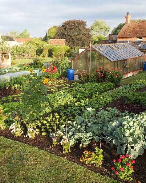 Why Everyone Should Try ‘No Dig’ Gardening | Saveur Homestead Vegetable Garden, Kitchen Garden Inspiration, Field Garden Ideas, Fancy Meals To Make At Home, Garden For Family Of 4, Garden Bed Enclosure, Garden Set Up Ideas, Backyard Food Garden, Garden In Ground