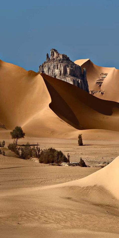 Amazing Nature, Timur Tengah, Deserts Of The World, Matka Natura, Desert Life, Desert Landscaping, Beautiful World, Beautiful Landscapes, Wonders Of The World