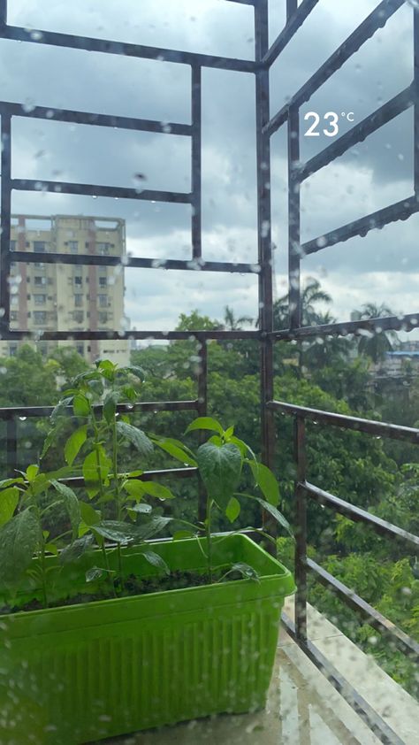 The calm after a heavy rainfall!!✨🫶🏻 #aesthetic #sky #bluesky #rainyday #rainaesthetic #raining #trees #nature #story #instastory #instastories #snapstreak #snapchatideas #snap #explore #fyp #foryoupage #aestheticphotos #views Rain Day Snapchat Stories, Evening Rain Snap, Rain Day Snap, Rainy Sky Snap, Rain Aesthetic Snap, Rain Pics Nature, Rainy Snapchat Stories, Rainy Day Snapchat Stories, Rainy Day Snap Story