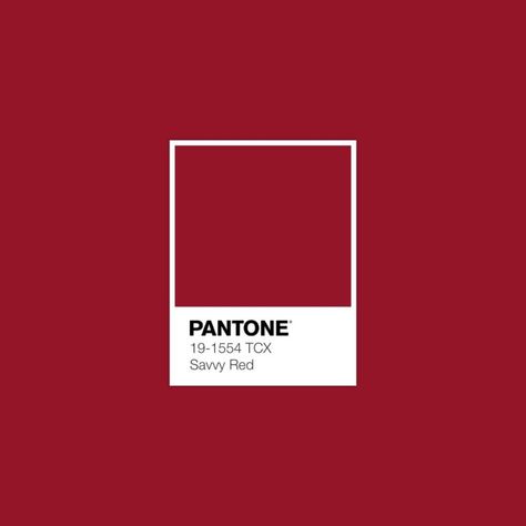 Download Free Adobe Illustrator Palette in .ase • #pantone #colorharmony #pantonecolor #fallcolors #colorswatches #color #colorcombos #fallcolors #palettes #colorschemes #pantone2020 #colortrends #pantoneaesthetic #pantonered • Whitecap Gray, Savy Red, Porcini, Pantone Palette, Pantone Color, Pantone, Mustang, Color Trend, Color Scheme, Color Palette, Aragon Tcx Pantone, Pantone Color Guide, Pantone Red, Color Pantone, Pantone Colour Palettes, Red Colour Palette, Palette Color, Color Palette Design, Color Harmony