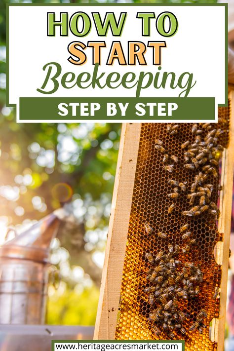 How To Start Raising Honey Bees, How To Raise Bees, How To Become A Bee Keeper, Starting Bee Keeping, Diy Bee Keeping, How To Raise Bees For Honey, How To Bee Keep, Bee Farming Beekeeping, Raising Honey Bees