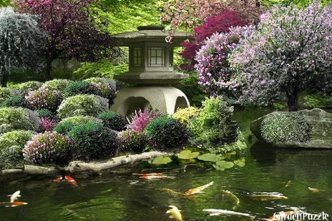 Japanese Garden Pond Small Natural Garden Ideas, Garden Design Architecture, Japanese Courtyard Garden, Ponds Ideas, Korean Garden, Backyard Ponds, Koi Ponds, Olympic Village, Spiritual Retreat