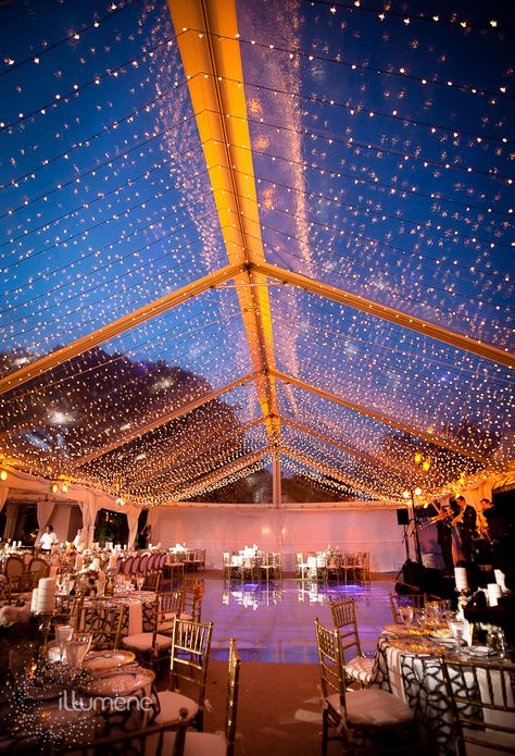 Wedding Reception Dance Floor, Picture Purple, Tent Wedding Reception, Purple Lighting, Clear Tent, Fisher Island, Beautiful Outdoor Wedding, Tent Lighting, Wedding Tent