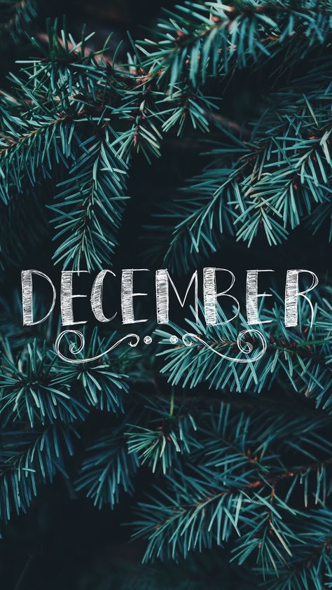 Natal, December Asethic Wallpaper, December Wallpaper Aesthetic Iphone, December Aesthetic Wallpaper Iphone, December Astethic, December Lockscreen, December Vibes Aesthetic, December Phone Wallpaper, December Status