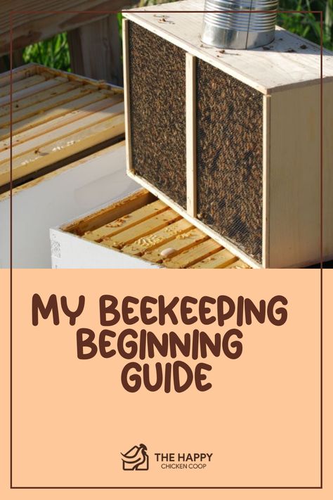 Beehive with swarm of bees on frames next to a smoker equipment with title "My Beekeeping Beginning Guide". Indoor Beehive, Drone Bee, Honey Extractor, Raising Quail, Types Of Bees, Wood Bees, Homesteading Diy, Bee Hives, The Tools