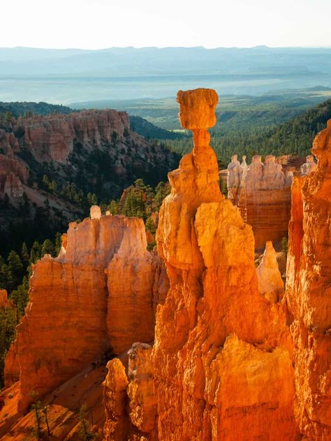 17 Stunning Points To Stop Along Utah Scenic Byway 12 Best Western Hotel, Grand Staircase Escalante, Escalante National Monument, Western Photography, Lovely Images, Capitol Reef National Park, Petrified Forest, Thor's Hammer, Lake Powell