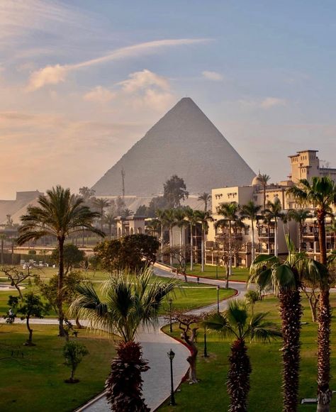 Expo Egypt on Instagram: “Dreaming of @gontravellin’s breathtaking morning view? #Egypt is calling for you! Book with us now to wake up to this luxurious view(link…” Ancient Egypt Aesthetic, Egyptian Aesthetic, Egypt Aesthetic, The Pyramids, Desert Life, Visit Egypt, Architecture Landscape, Morning View, Dream Travel Destinations