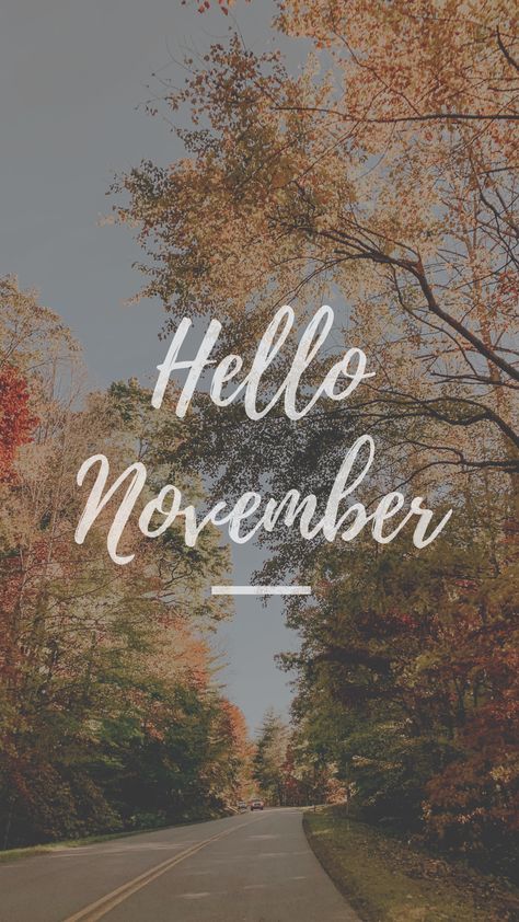 November Widget, November Birthday Quotes, November Wallpapers, November Backgrounds, November Instagram, Its November, Aesthetic Powerpoint, Monthly Wallpapers, Autumn Icons