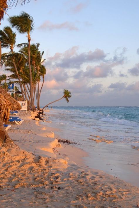 Santo Domingo, Punta Cana, Landscape Posters, Samana, Carribean Beach, Dominican Republic Beaches, Dominican Republic Travel, Punta Cana Dominican Republic, Senior Trip