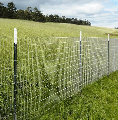 Easy Dog Fence, Dog Fence Cheap, Diy Fence Ideas Cheap, Temporary Fence For Dogs, Diy Dog Fence, Cheap Privacy Fence, Fence Balcony, Diy Gate, Chicken Wire Fence