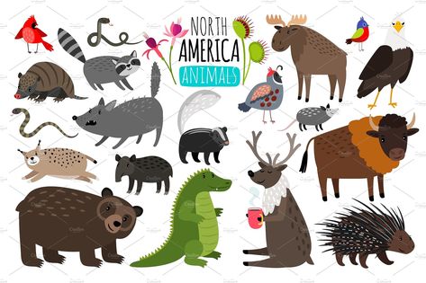 North american animals. Animal graphics of North America, american bison and skunk, cute moose and lynx #America#graphics#skunk#bison Skunk Cute, Cute Moose, North American Animals, Penguins And Polar Bears, American Animals, Drawing Sheet, American Bison, Animal Activities, Arctic Animals