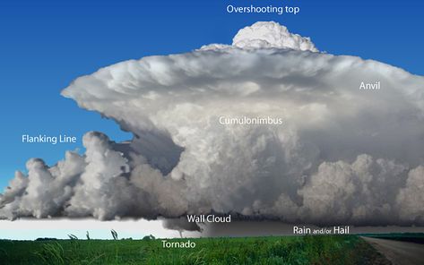 Meteorology, Nature, Weather Questions, Supercell Thunderstorm, Wall Cloud, Storm Chasing, Most Beautiful Words, Severe Storms, Stormy Weather