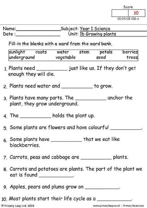 3rd Grade Science Worksheets, Third Grade Science Worksheets, Plant Life Cycle Worksheet, 3rd Grade Science, Human Body Worksheets, Grade 2 Science, Plant Lessons, Plants Worksheets, Forensic Anthropology
