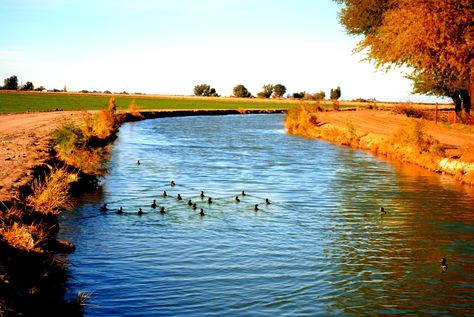 Canal at Holtville Imperial Valley California Los Angeles, Pereira, Angeles, Counting Blessings, Imperial Valley, California Pictures, On A Dark Desert Highway, Dark Desert, Desert Highway